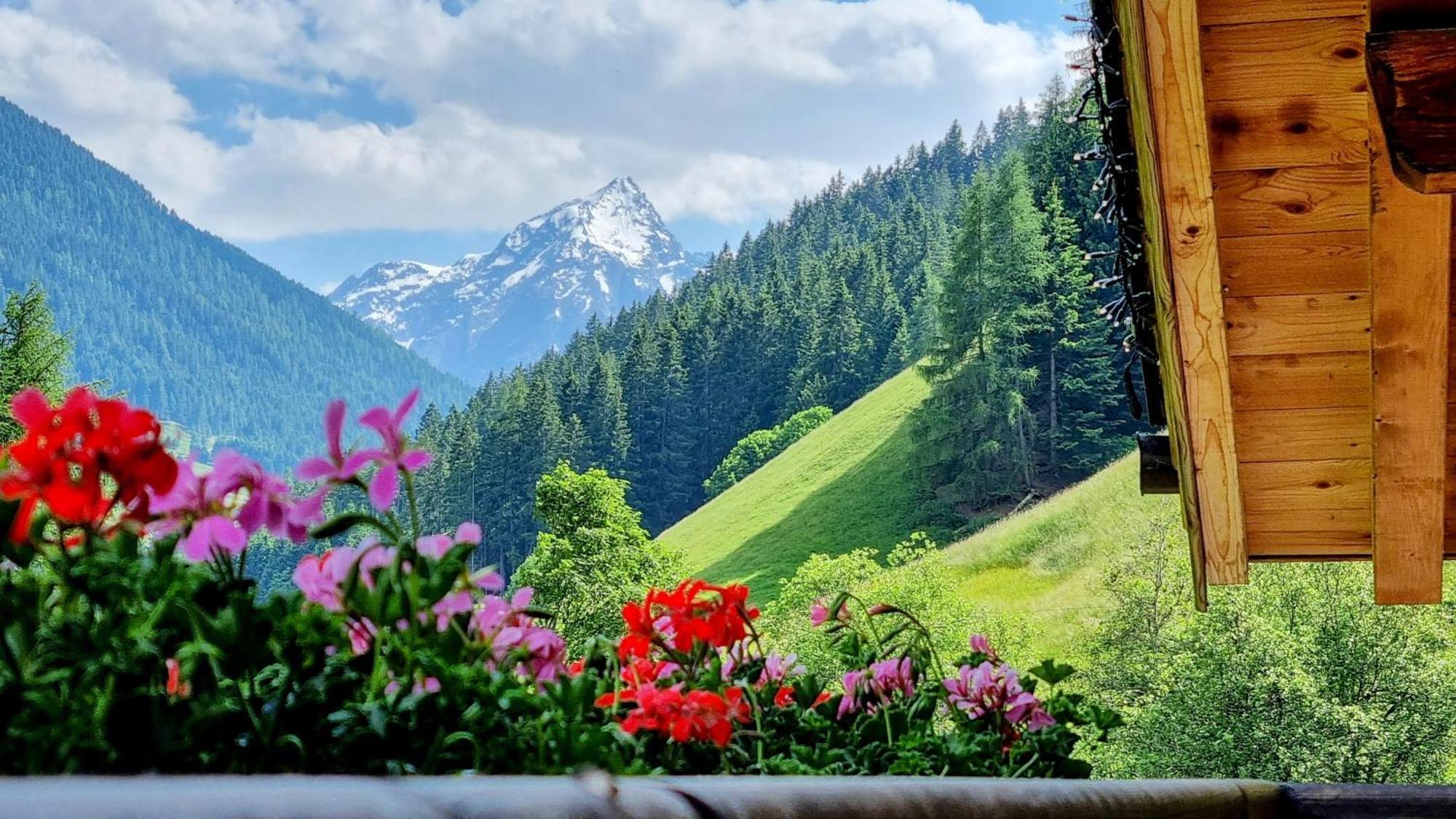 Gaestehaus Landhaus Tyrol Gries im Sellrain Exterior foto